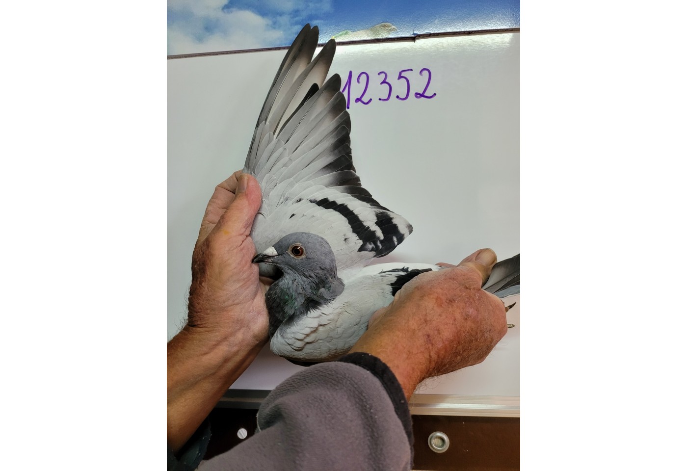 140th place - 12352-CH-21 - Team FlyFutura