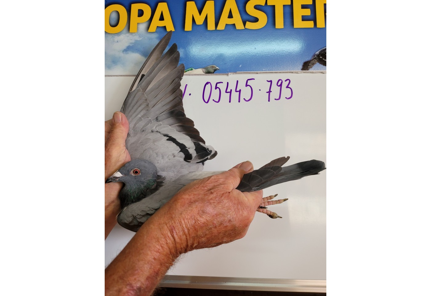 128th place - DV-05445-21-793 - Kaiser Dietmar