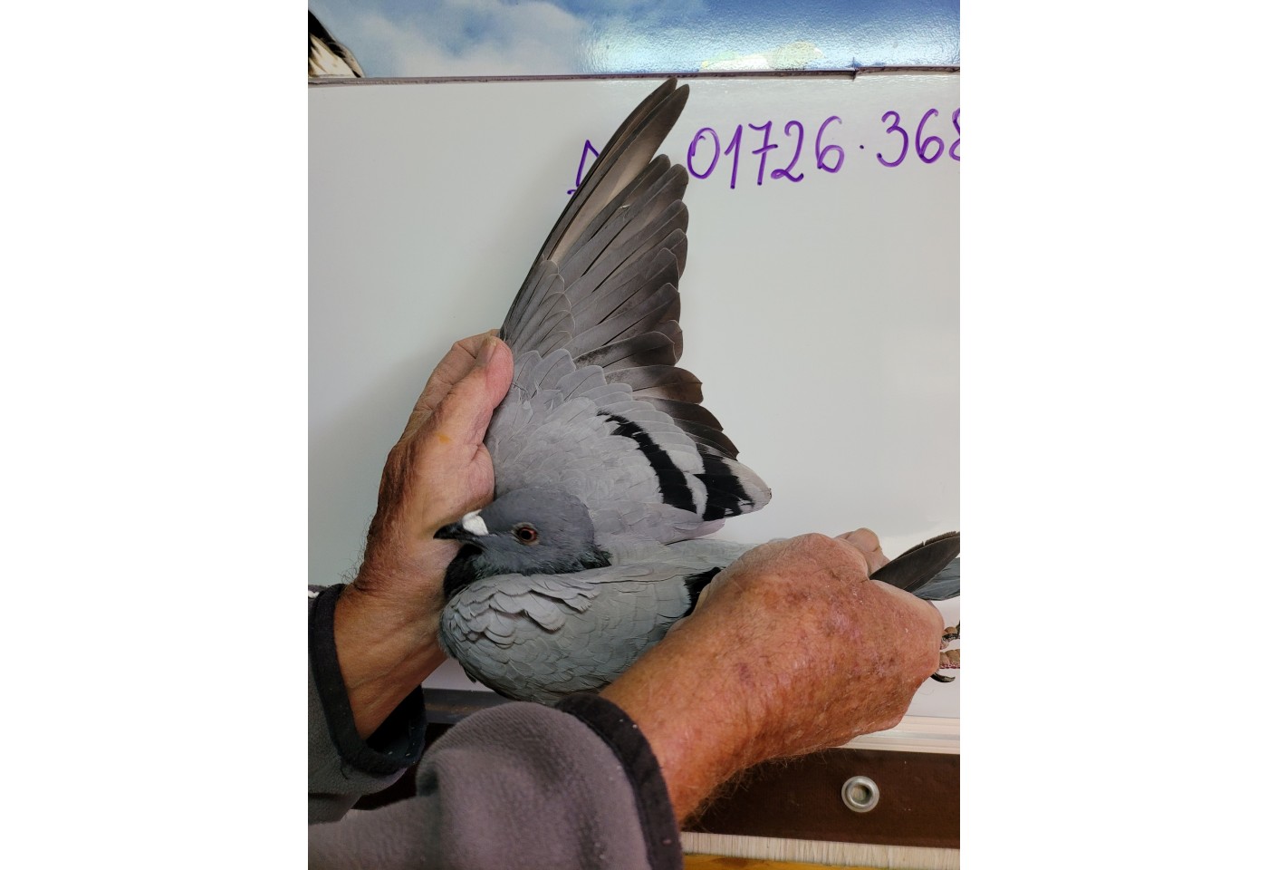 165th place - DV-01726-21-368 - Markus Winter