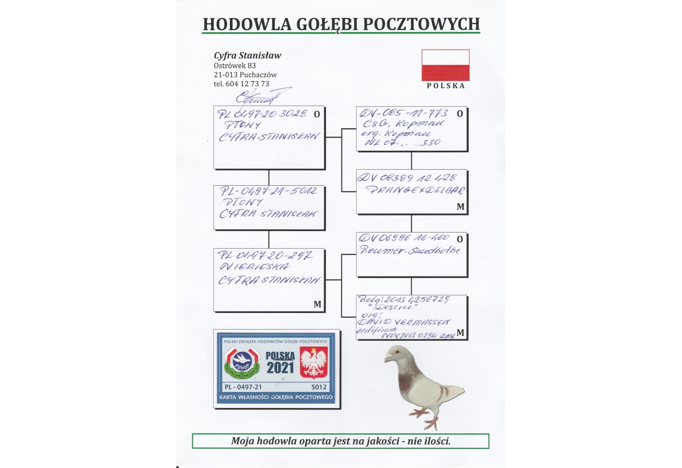 250th place - PL-0497-21-5012 - Cyfra Stanislaw