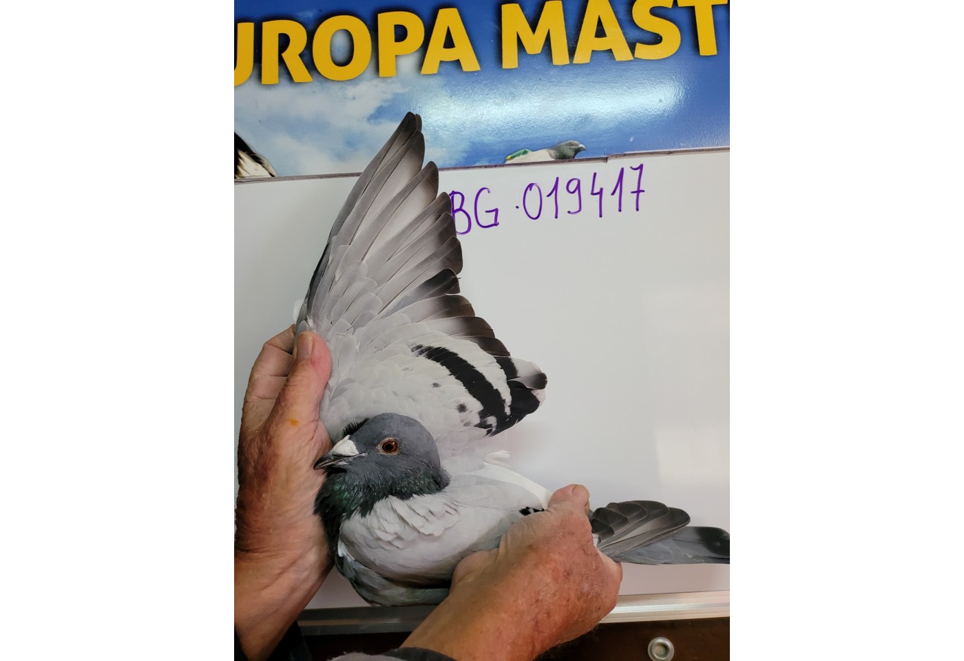 277th place - 019417-BG-21 - Valya and Rosen Dobrevi
