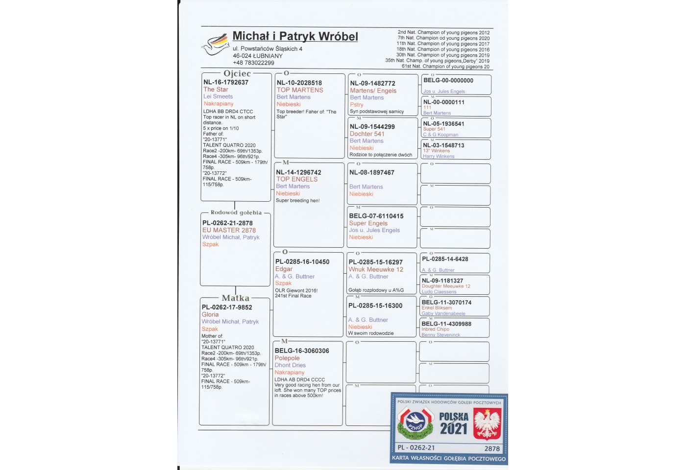310th place - PL-0262-21-2857 - Wrobel Michal & Patryk