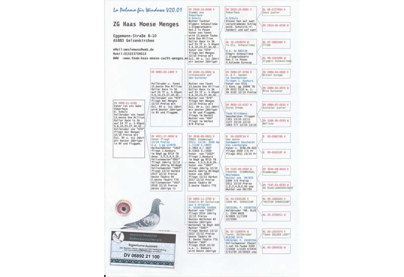 191th place - DV-06892-21-100 - Haas-Moese-Menges