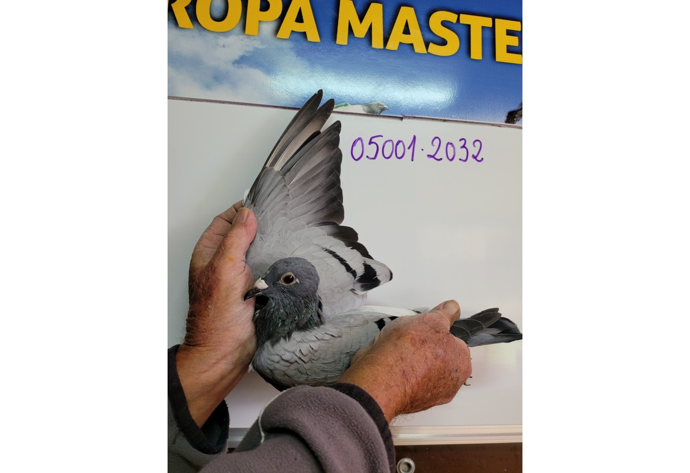 288th place - DV-05001-21-2032 - Georg Oswald