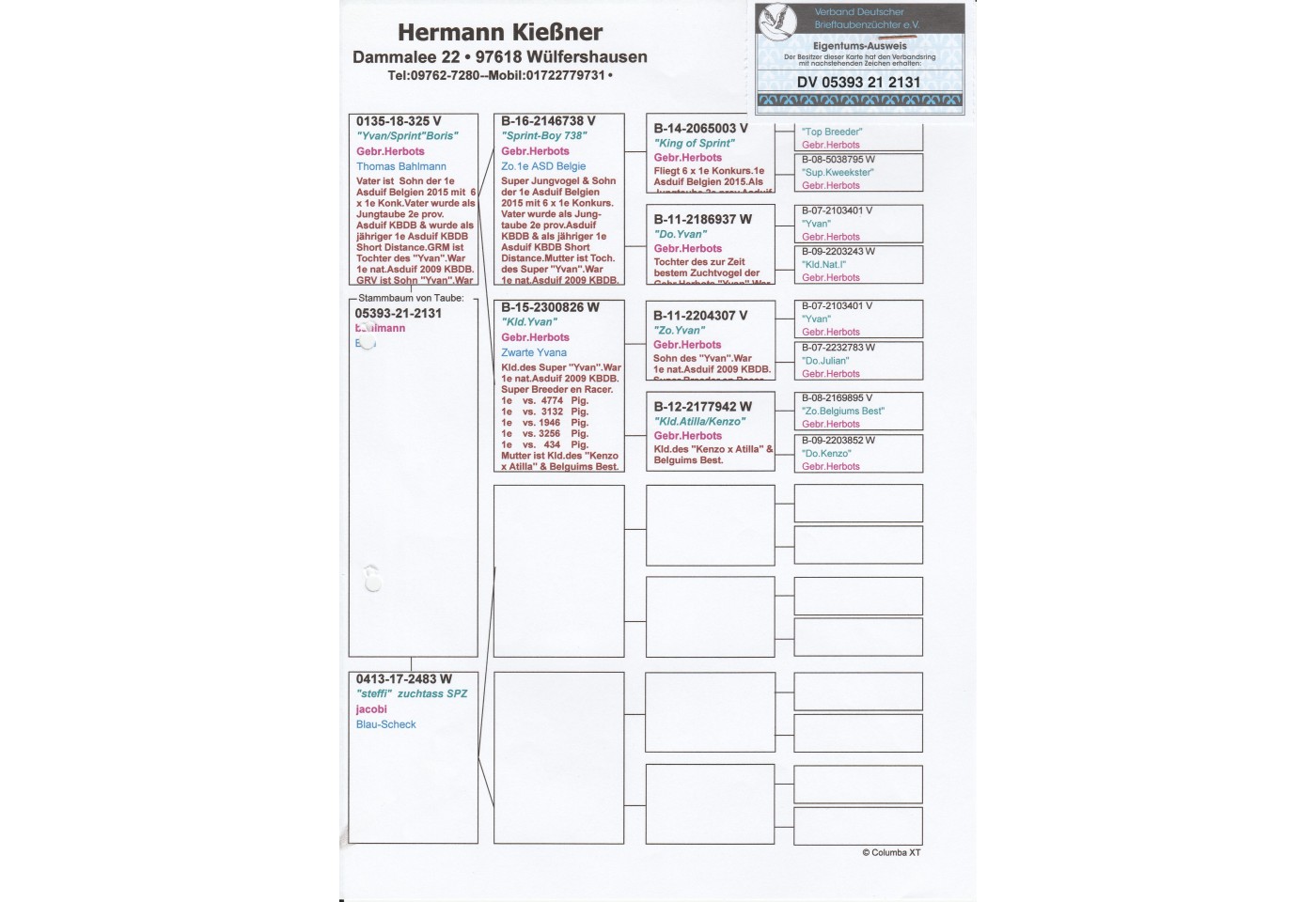 318th place - DV-05393-21-2131 - Hermann Kiessner