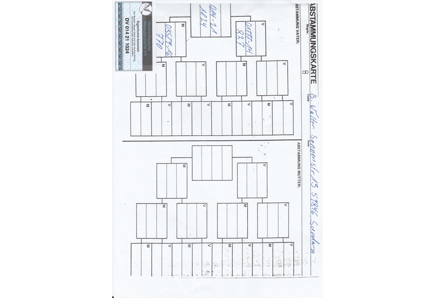 371th place - DV-02371-21-22 - Affeln-Amecke