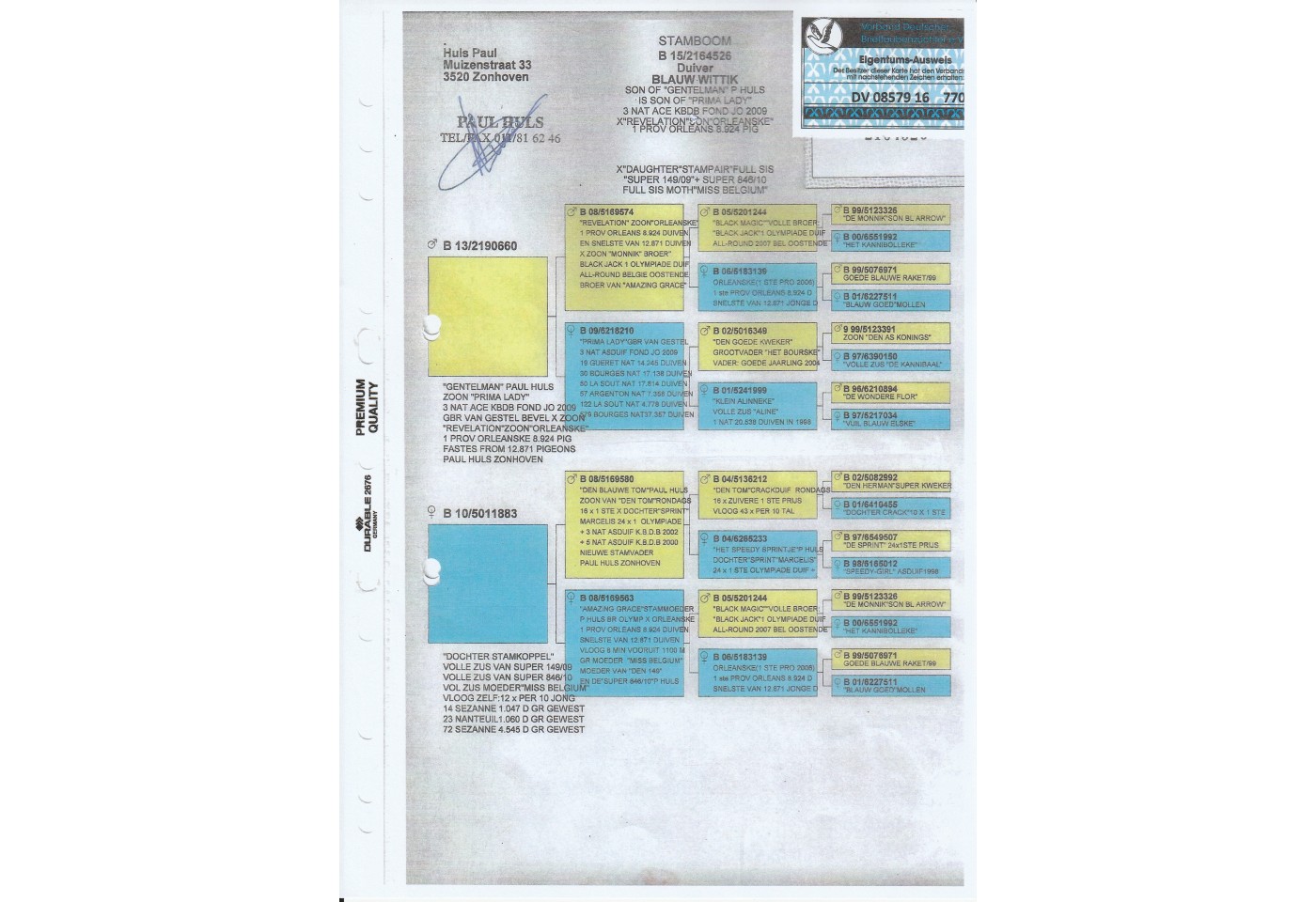 371th place - DV-02371-21-22 - Affeln-Amecke