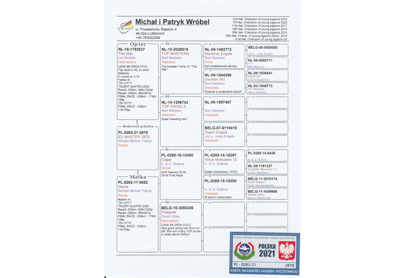 379th place - PL-0262-21-2878 - Wrobel Michal & Patryk
