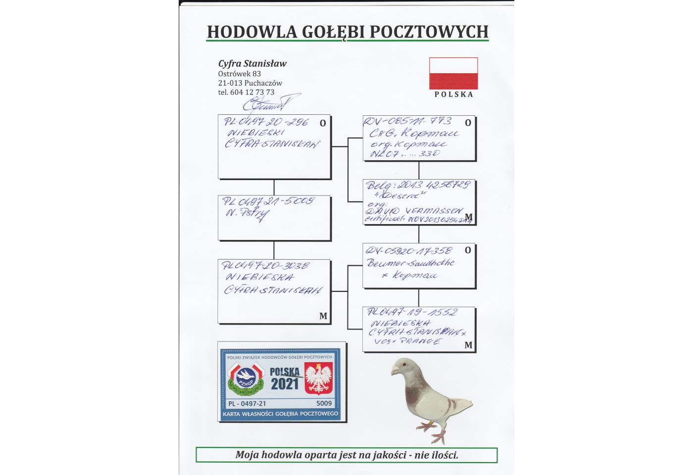 381th place - PL-0497-21-5009 - Cyfra Stanislaw
