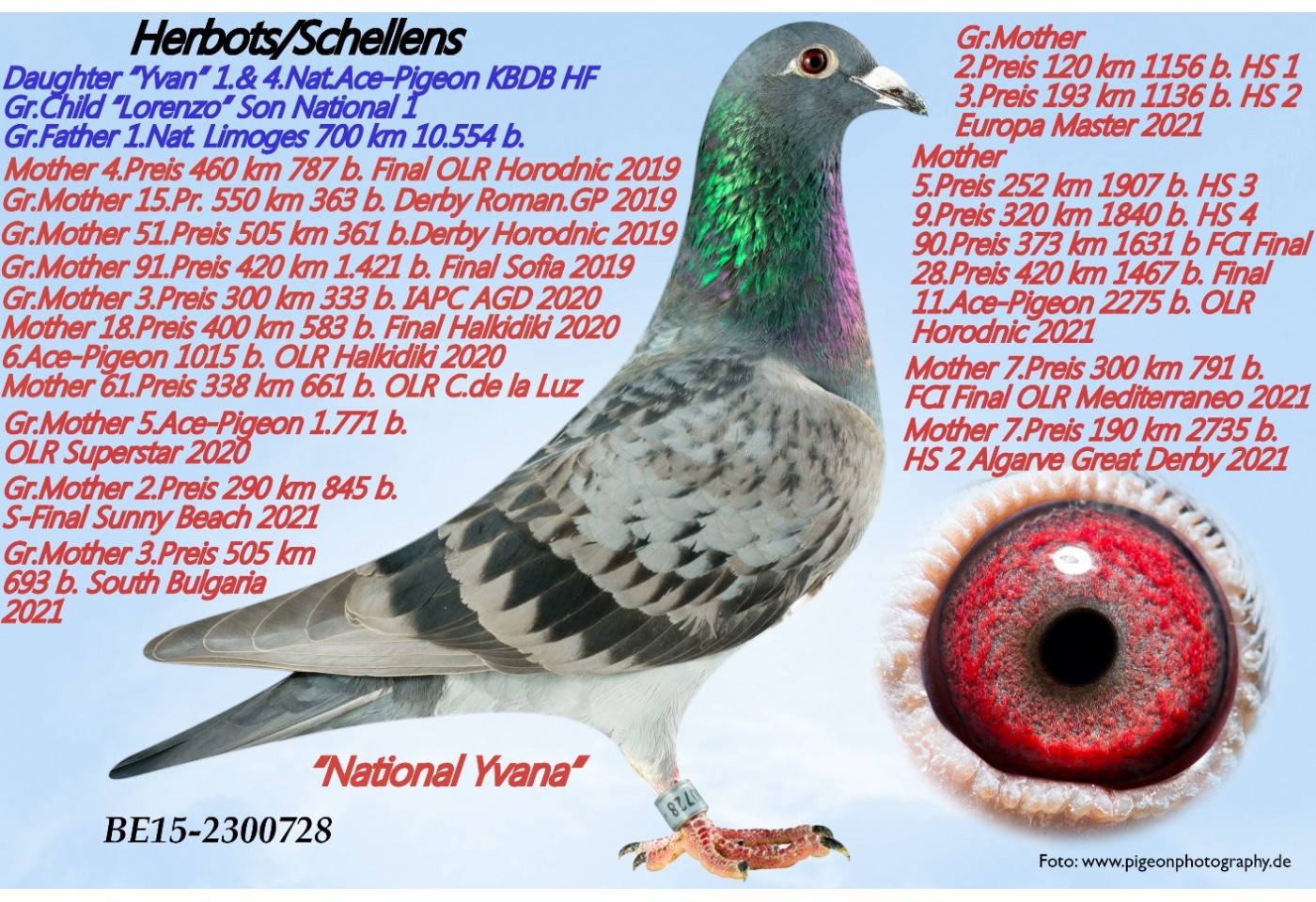 78th place - DV-02618-22-2647 - K H WICHERT 
