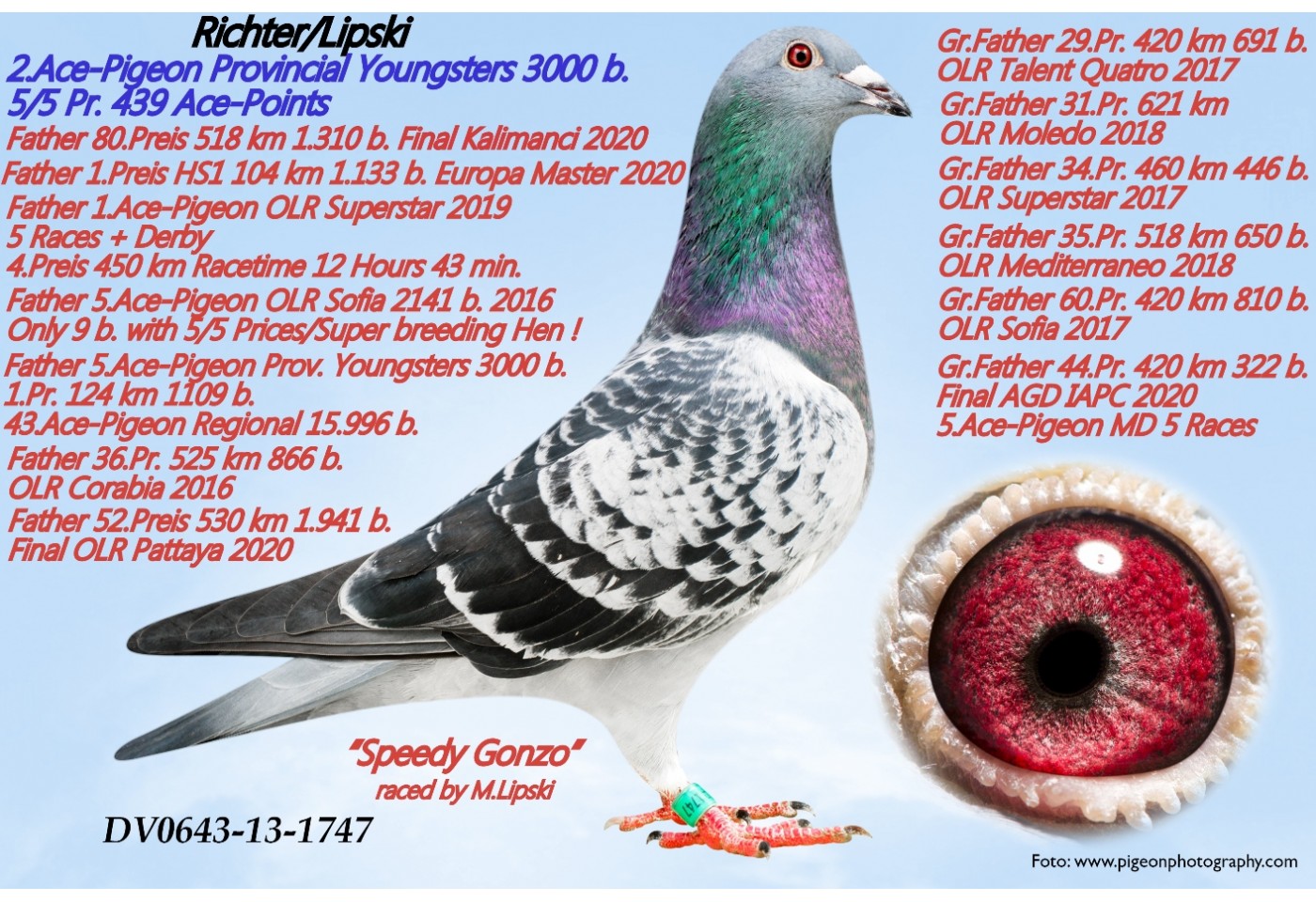 78th place - DV-02618-22-2647 - K H WICHERT 