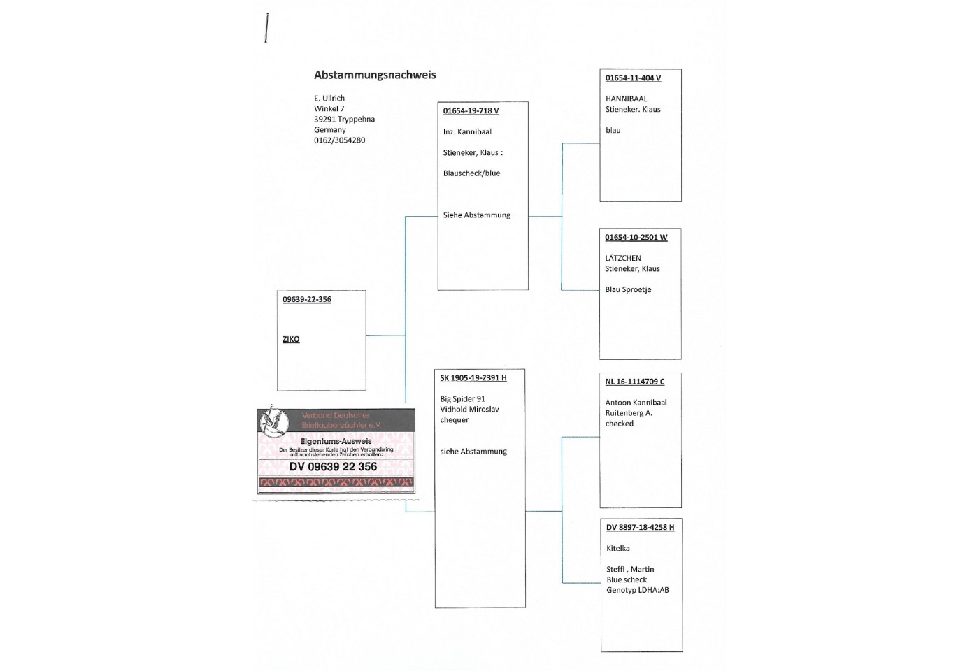67th place - 	DV-09639-22-356 - Team H-L-U