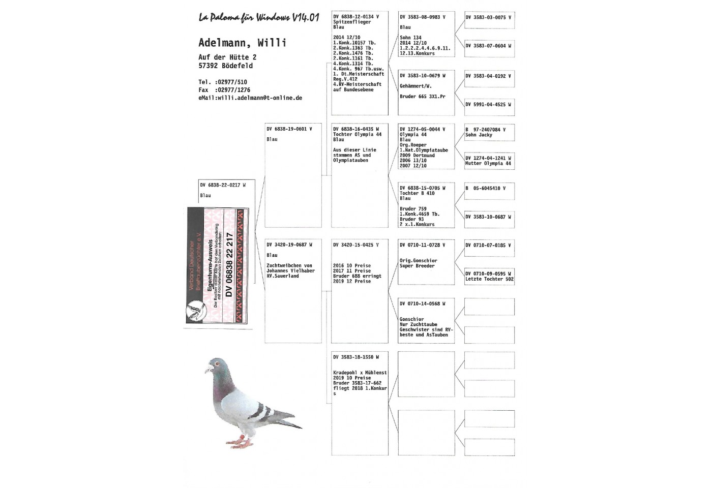 47th place - DV-06838-22-217 - HOTEL ADELMANN Team A