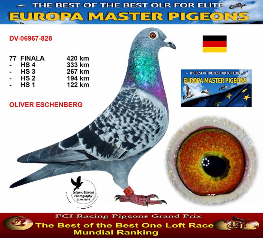 77th place - DV-06967-22-828 - OLIVER ESCHENBERG