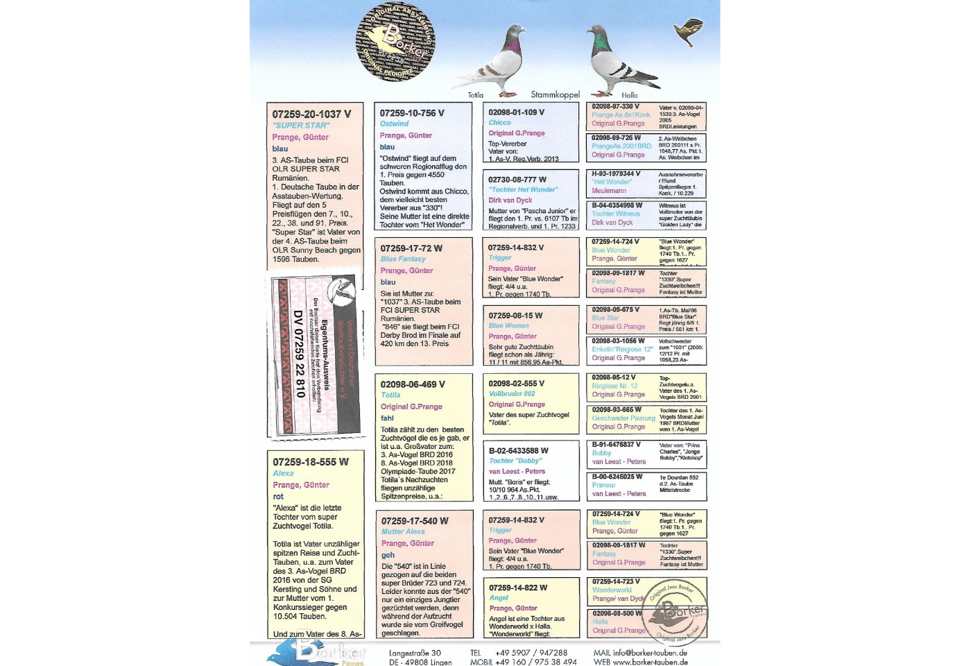 57th place - DV-07259-22-810 - BORKER PIGEONS Team G