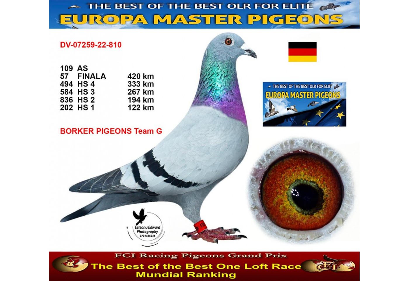 57th place - DV-07259-22-810 - BORKER PIGEONS Team G