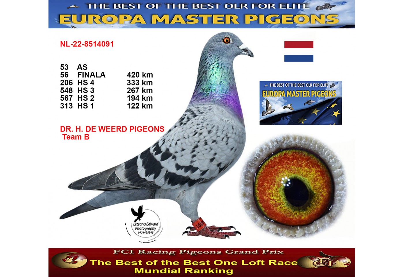 56th place - NL-22-8514091 - DR. H. DE WEERD PIGEONS Team B