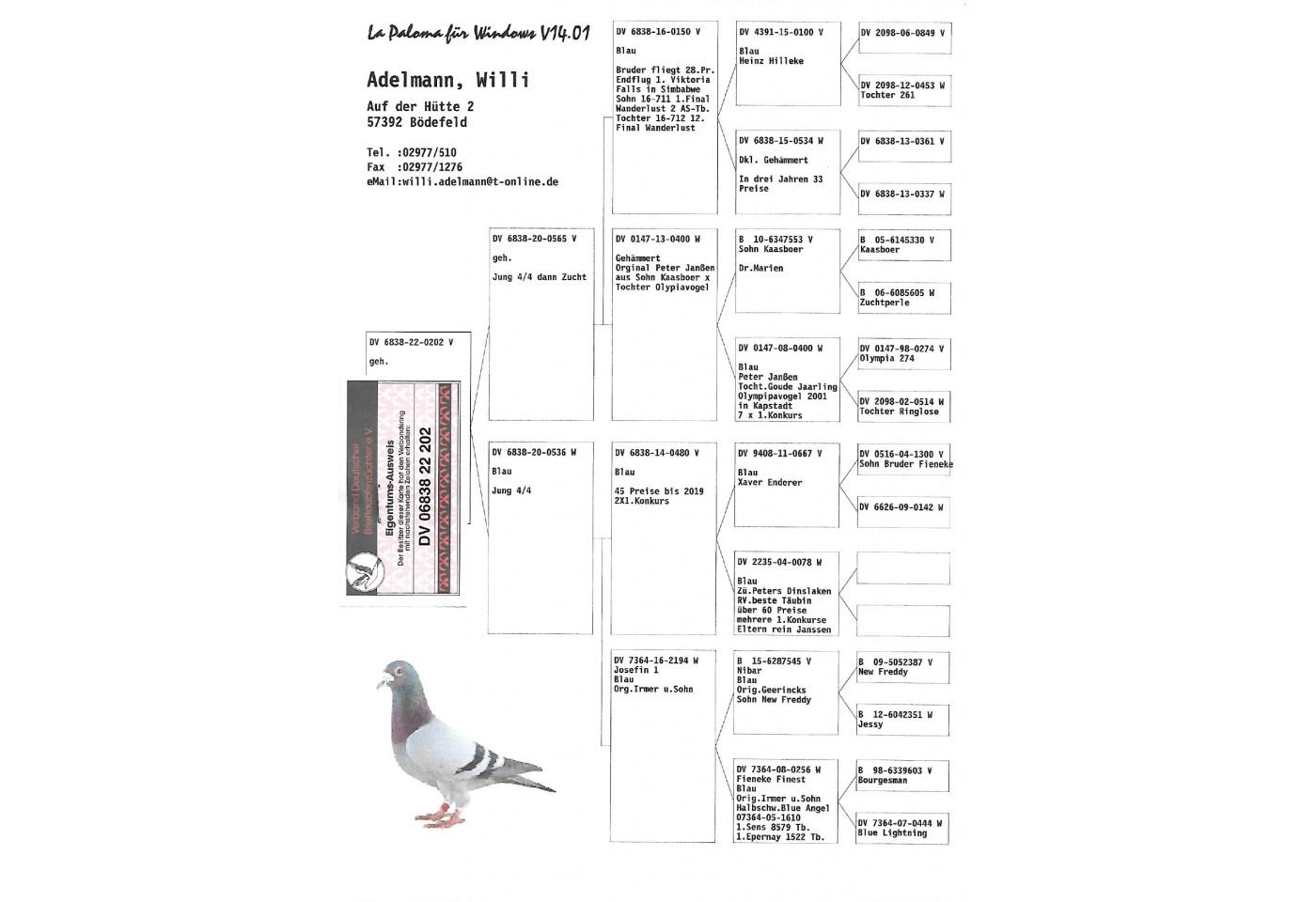 84th place - DV-06838-22-202 - HOTEL ADELMANN Team A