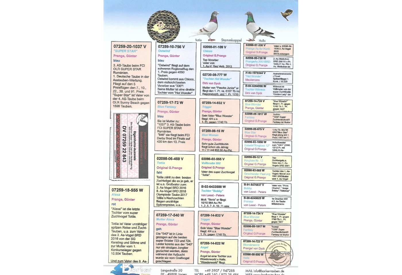 55th place - DV-07259-22-843 - BORKER PIGEONS Team H