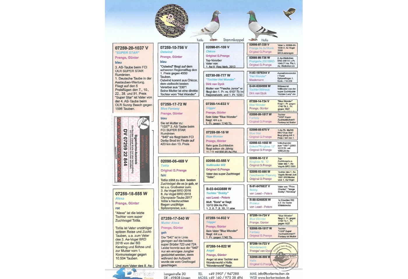 86th place - DV-07259-22-844 - BORKER PIGEONS Team B