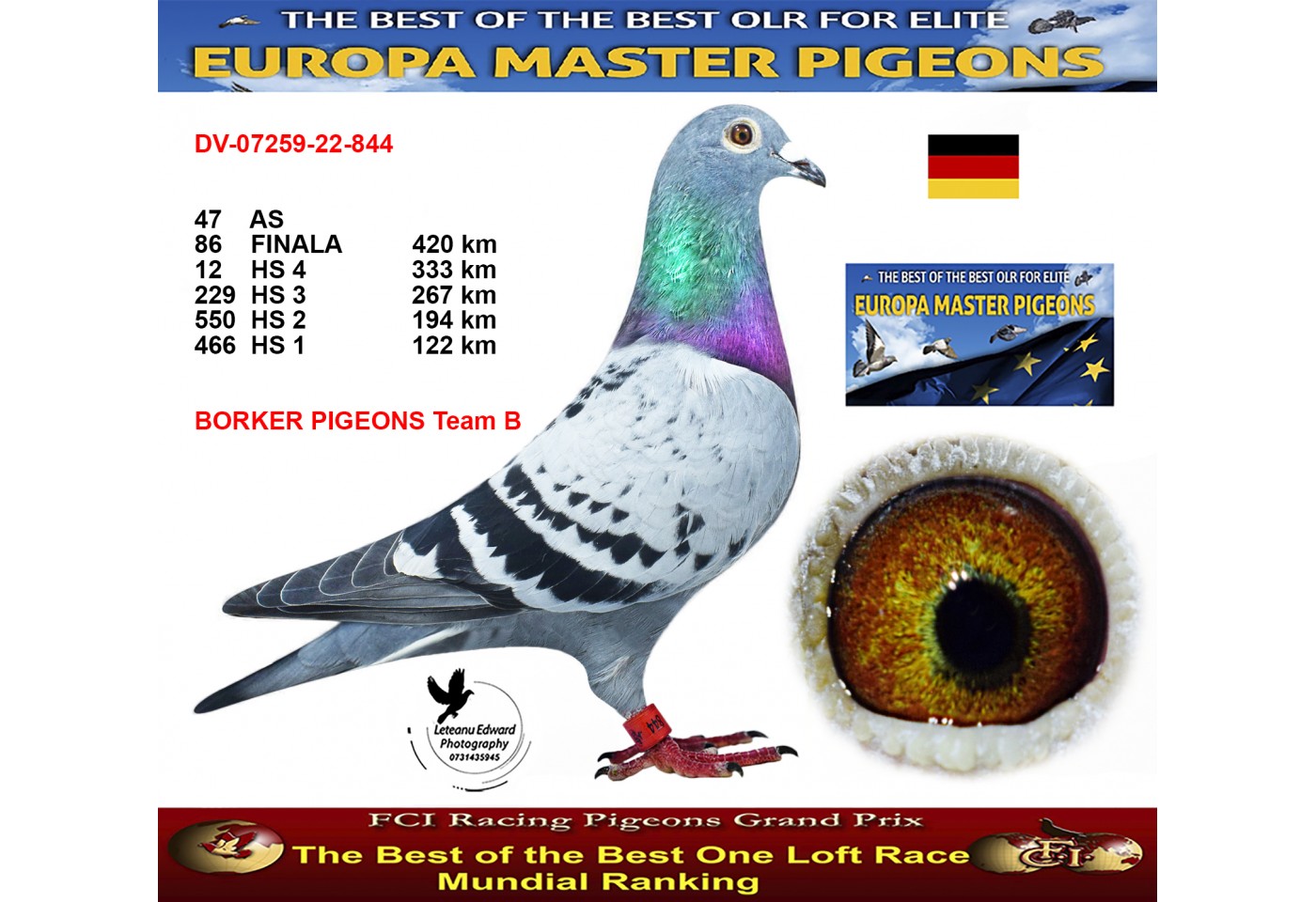 86th place - DV-07259-22-844 - BORKER PIGEONS Team B