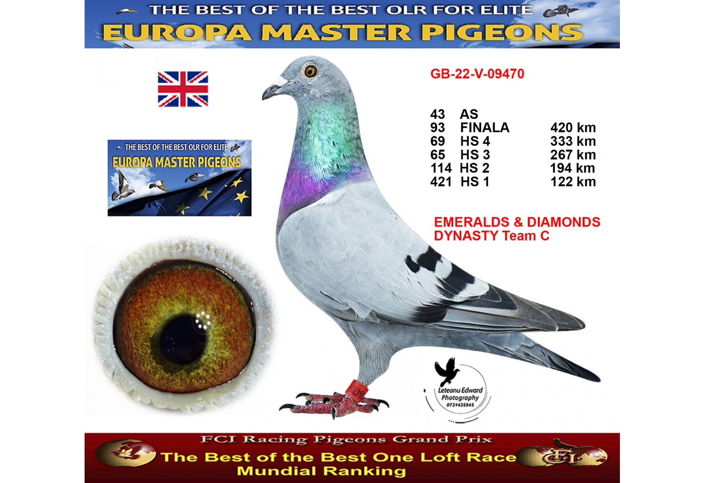 93th place - GB-22-V-09470 - EMERALDS & DIAMONDS DYNASTY