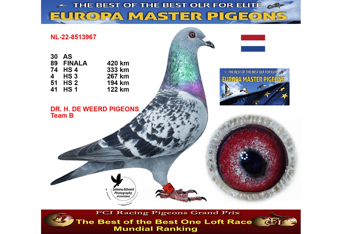 89th place - NL-22-8513967 - DR. H. DE WEERD PIGEONS