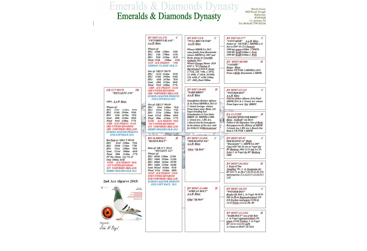 93th place - GB-22-V-09470 - EMERALDS & DIAMONDS DYNASTY