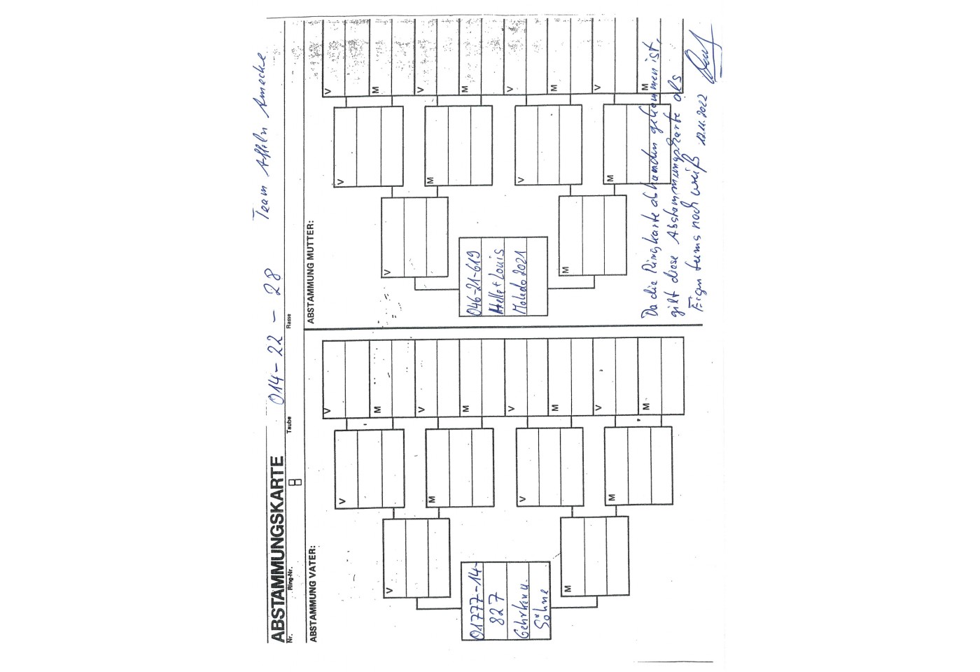 94th place - DV-00014-22-28 - AFFELN AMECHE