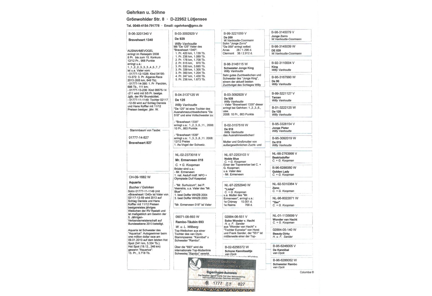 94th place - DV-00014-22-28 - AFFELN AMECHE