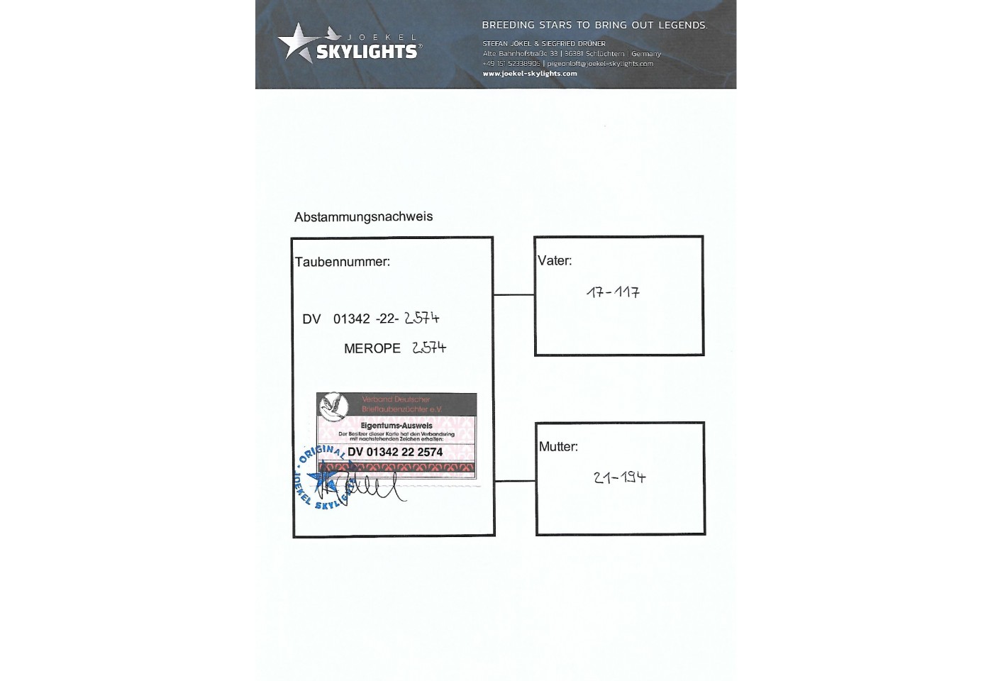 96th place - DV-01342-22-2574 - JOEKEL SKYLIGHTS Team LUMEN