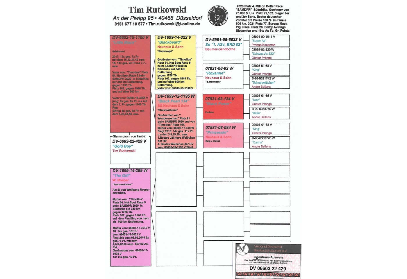 105th place - DV-06603-22-429 - RUTKOWSKI TIM
