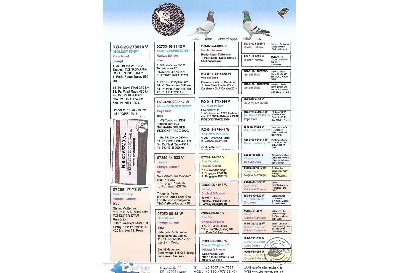103th place - DV-07259-22-804 - BORKER PIGEONS
