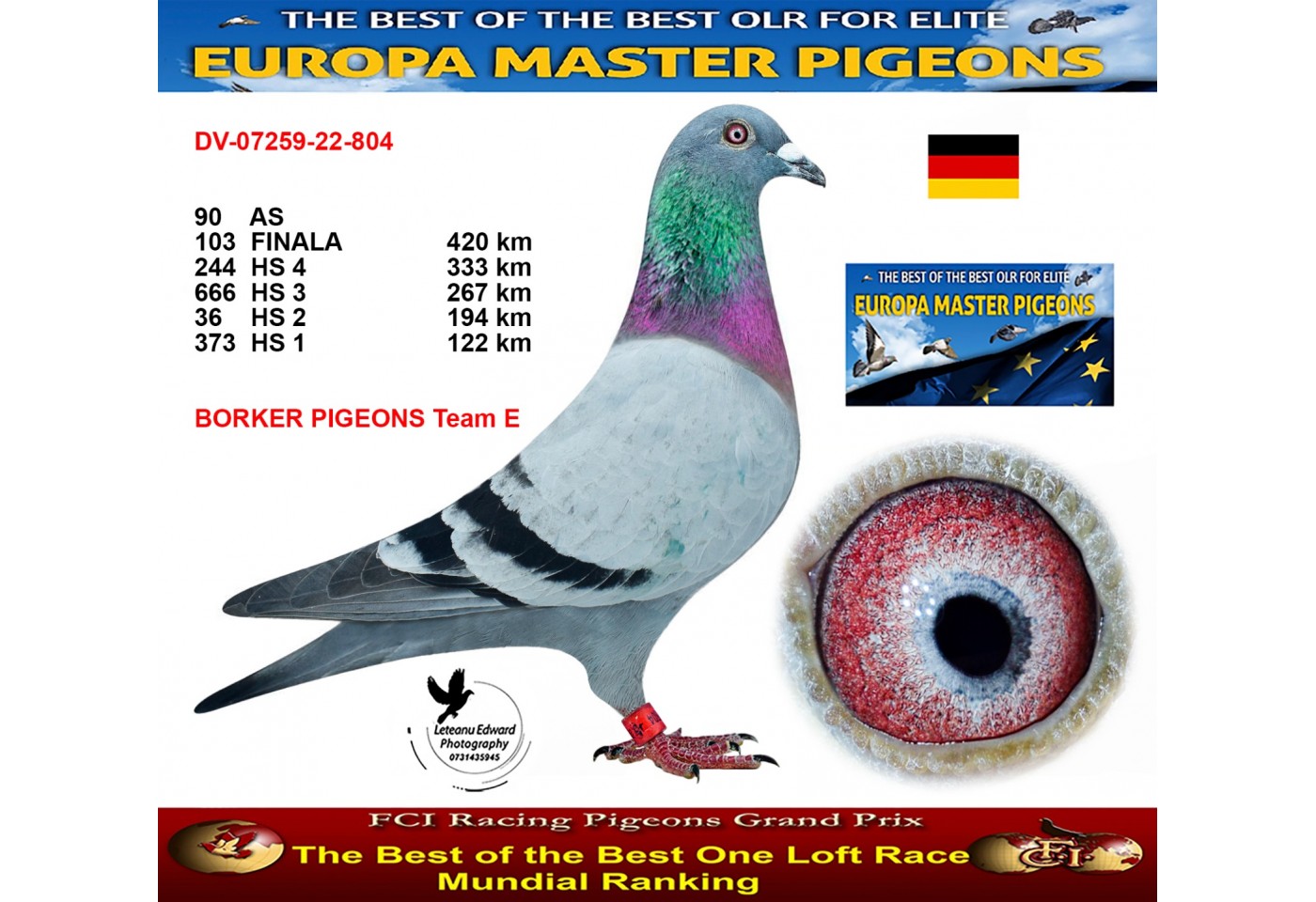 103th place - DV-07259-22-804 - BORKER PIGEONS