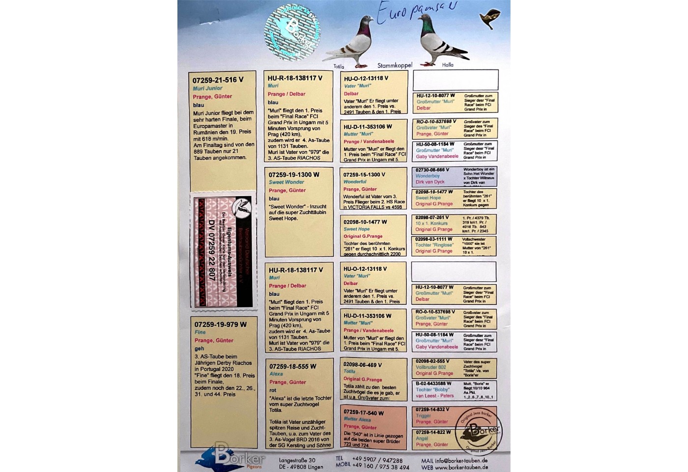 653th place HS2 - DV-07259-22-807 - BORKER PIGEONS