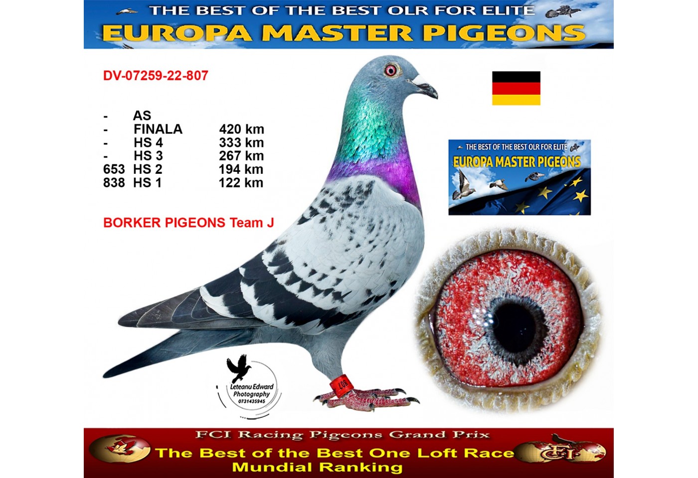 653th place HS2 - DV-07259-22-807 - BORKER PIGEONS