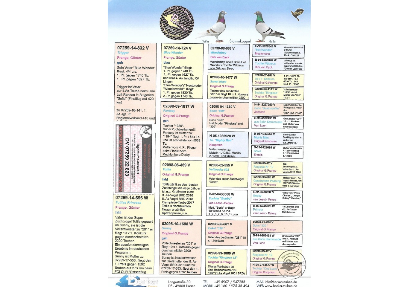 640th place - DV-07259-22-823 - BORKER PIGEONS