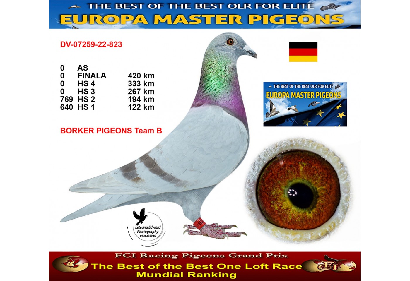 640th place - DV-07259-22-823 - BORKER PIGEONS