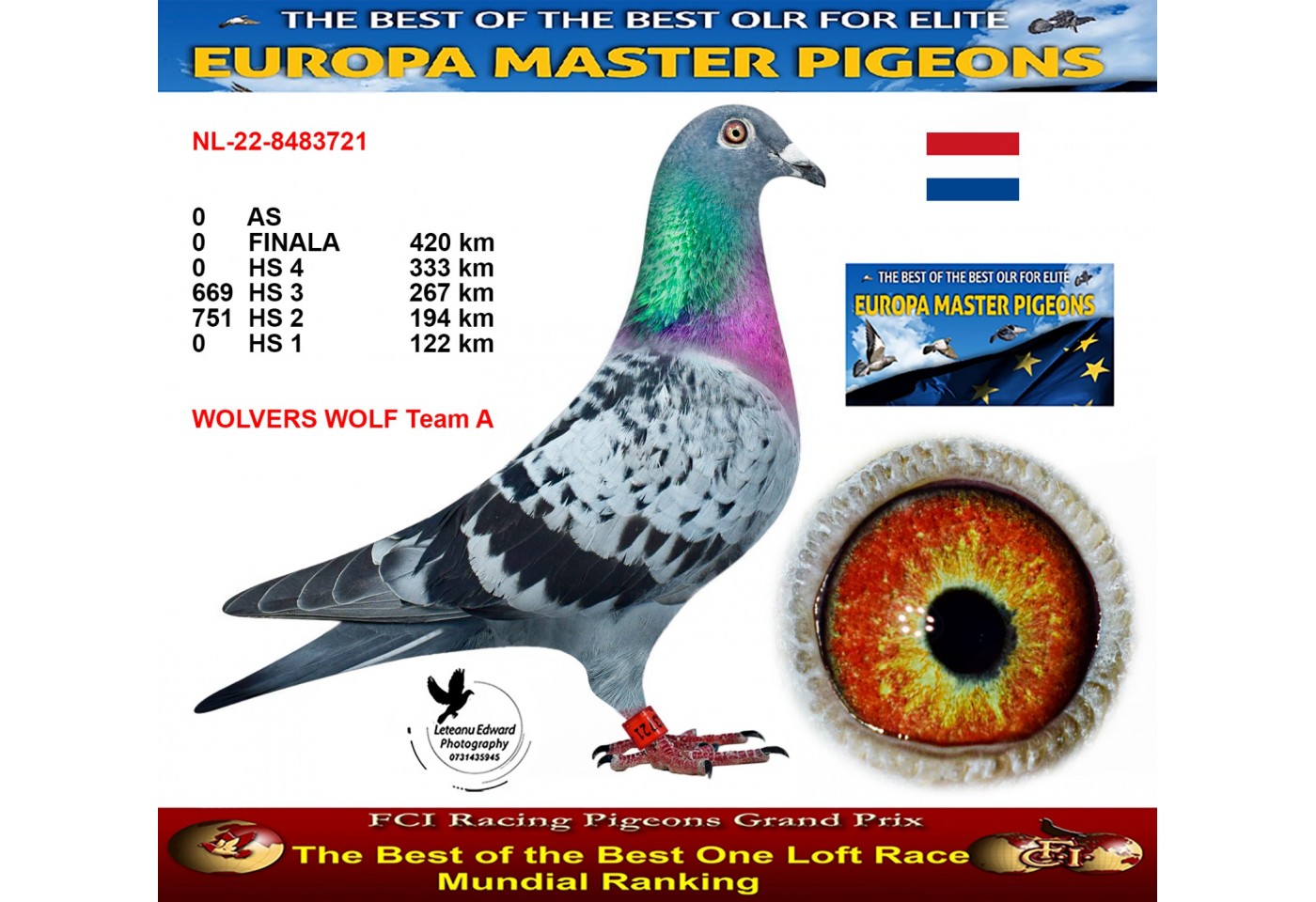 236th place - NL-22-8483721 - WOLVERS WORF