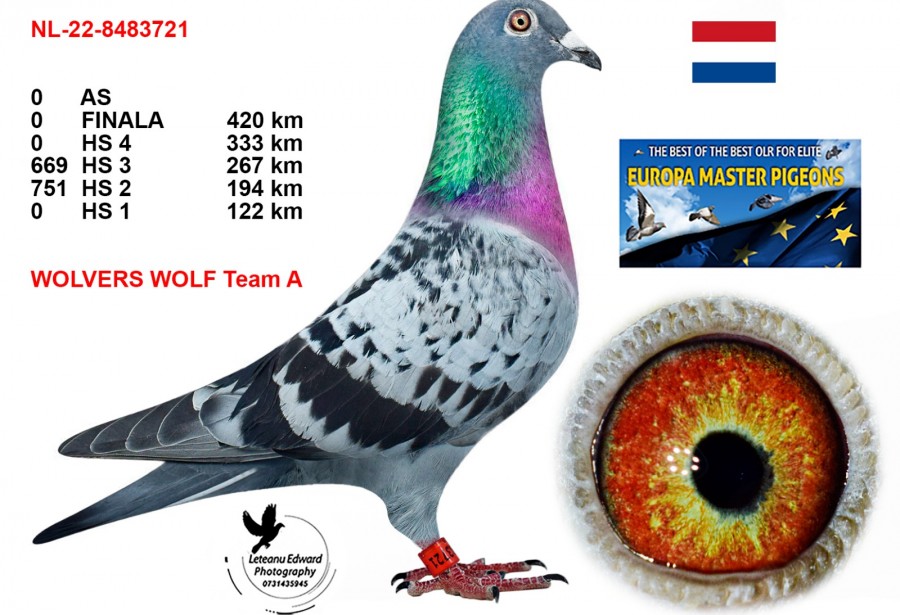 236th place - NL-22-8483721 - WOLVERS WORF
