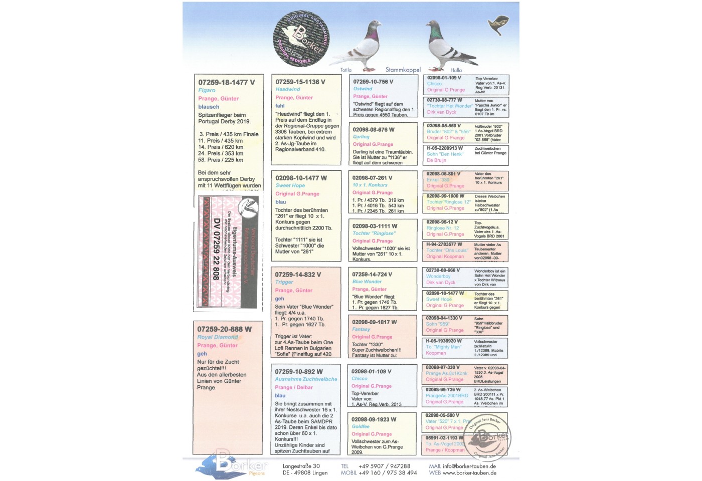 DV-07259-22-808 - BORKER PIGEONS