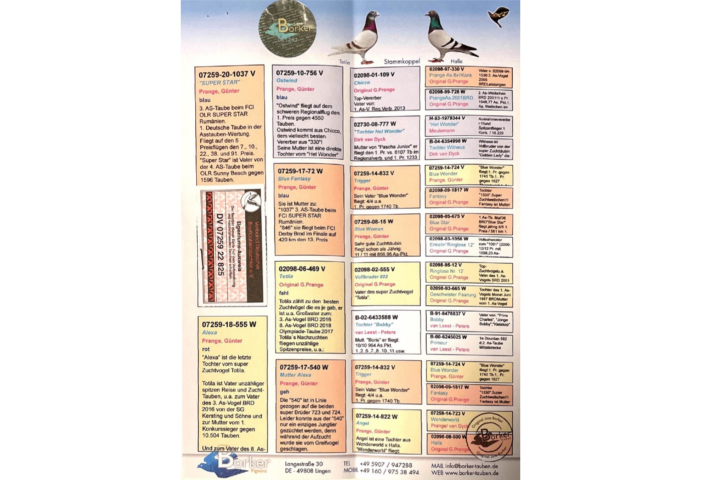 DV-07259-22-825 - BORKER PIGEONS