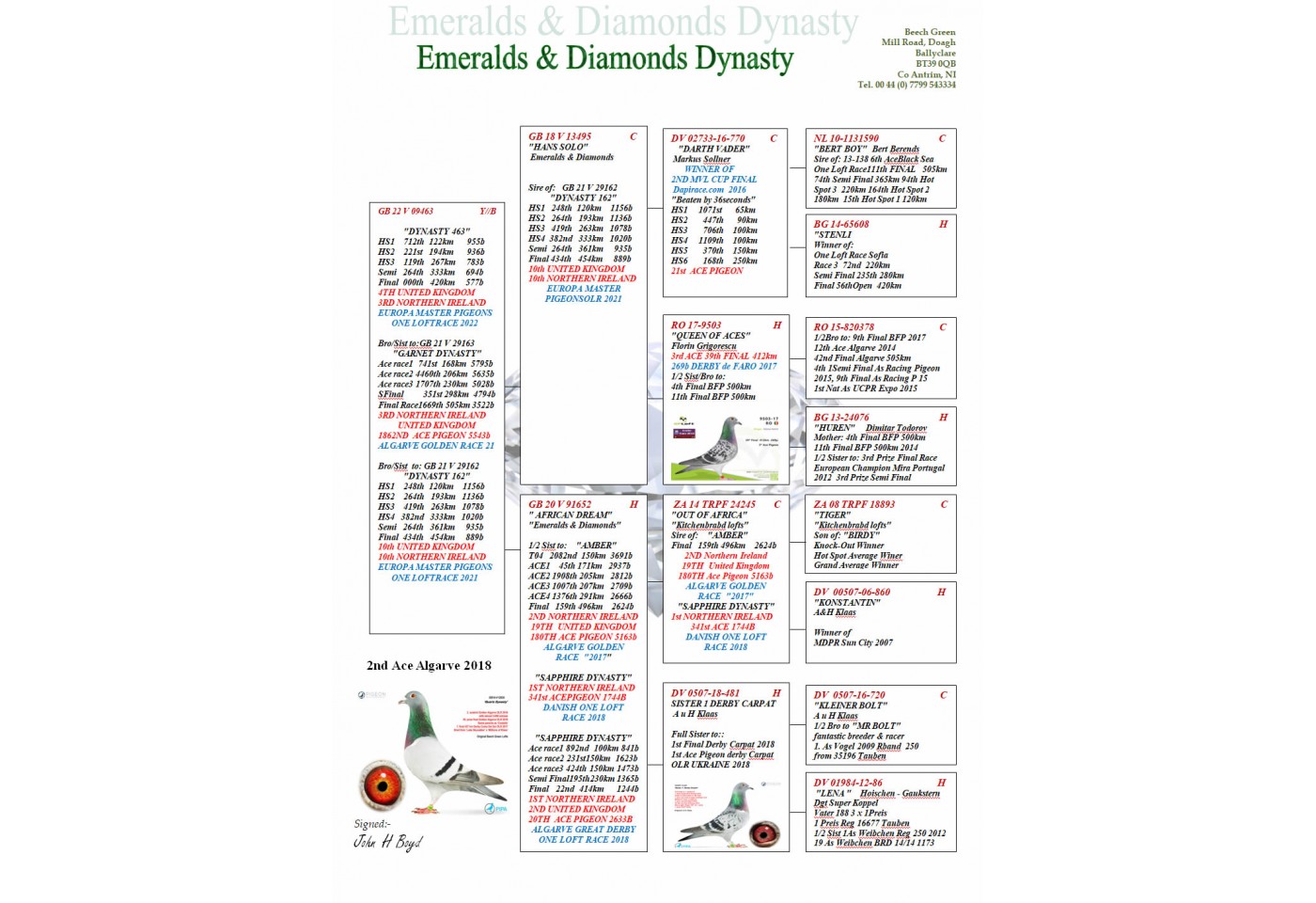 GB 22 V 09463 - EMERALDS & DIAMONDS DYNASTY