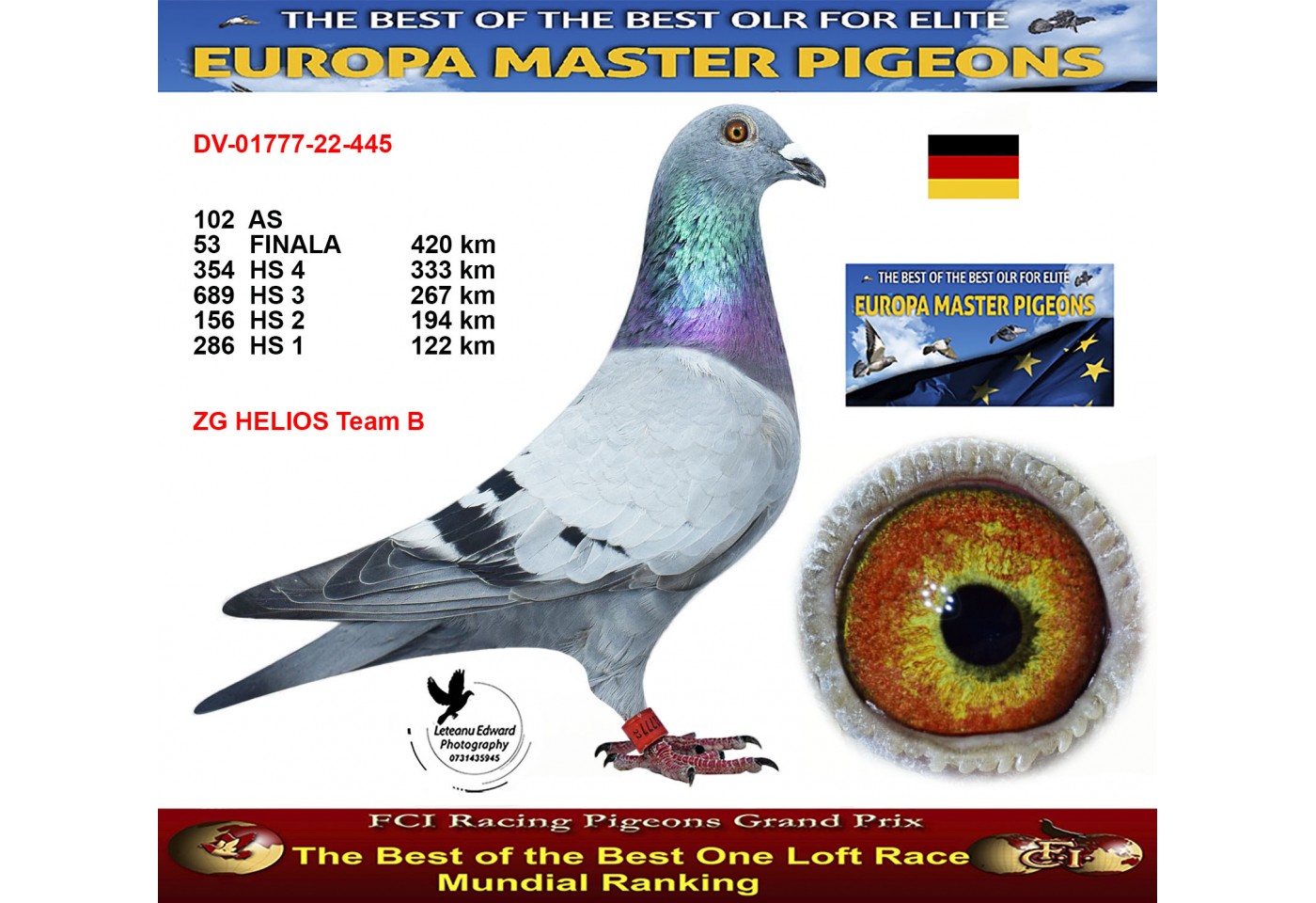 Pigeon 53th place - DV-01777-22-445 - ZG HELIOS