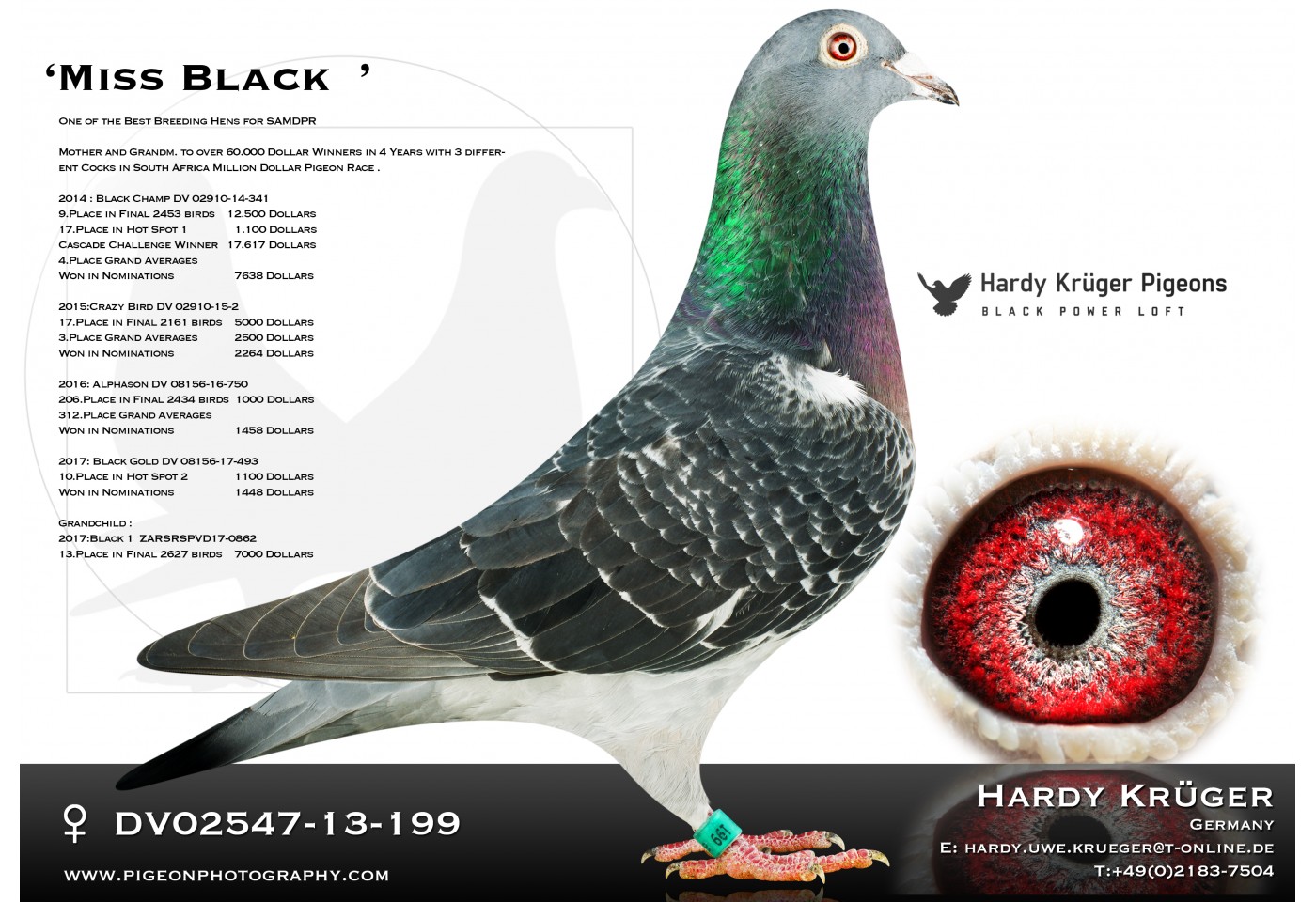 DV-07274-22-740 - HARDY KRUGER
