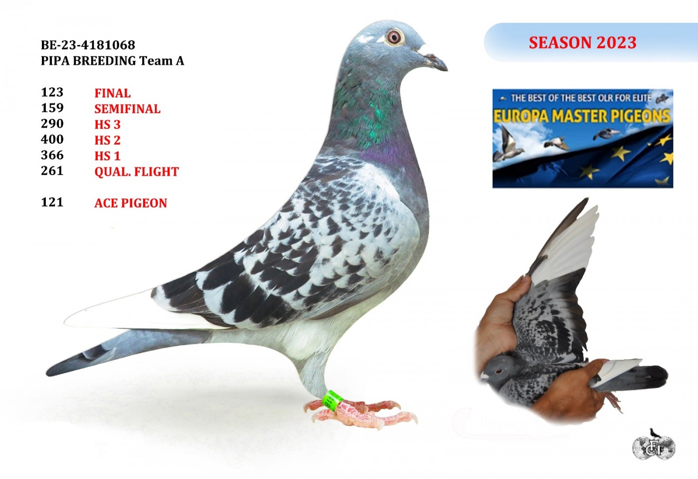 123th place - BE-23-4181068 - PIPA BREEDING Team A 