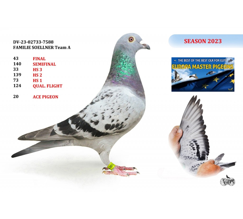 43th place - DV-02733-23-7588 - FAMILIE SOELLNER Team A