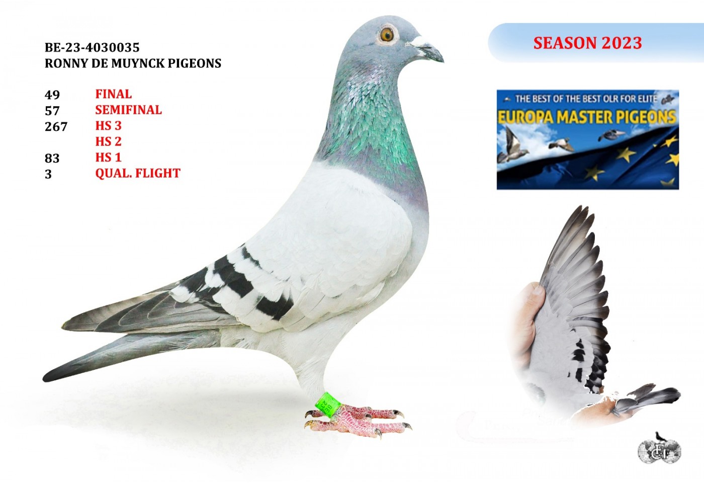 49th place - BELG-23-4030035 - RONNY DE MUYNCK PIGEONS 