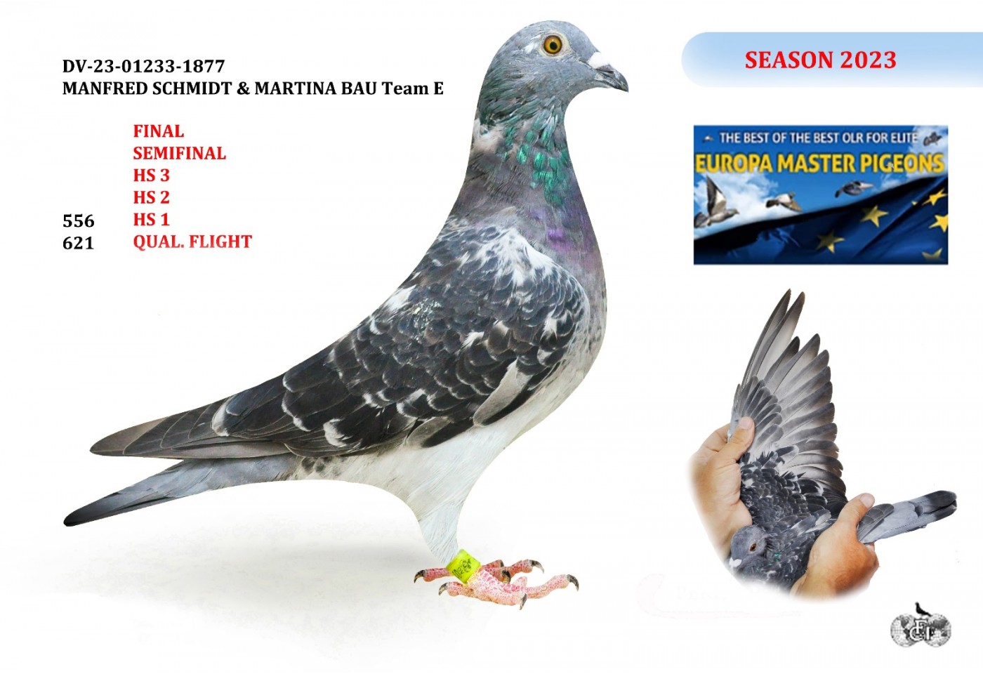 556th place HS1 - DV-01233-23-1877 - MANFRED SCHMIDT & MARTINA BAU Team E
