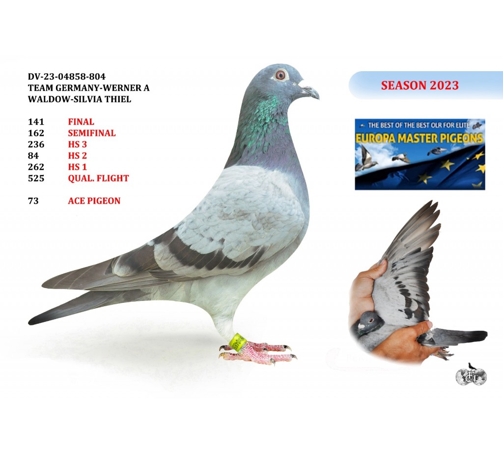 141th Place - DV-04858-23-804 - TG WERNER-SILVIA